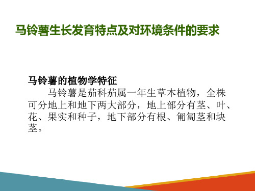 马铃薯生长发育特点及对环境条件的要求(马铃薯生产技术课件)