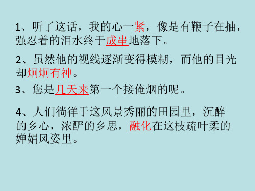 中考语文专题复习记叙文加点词语的表达效果课件