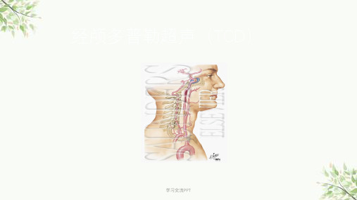 经颅多普勒(TCD)讲解课件