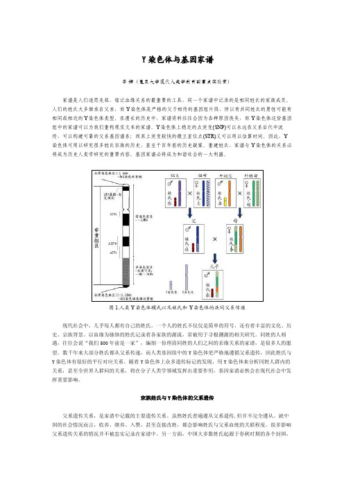 Y染色体与基因家谱李辉（复旦大学现代人类学教育部重点实验室）家谱