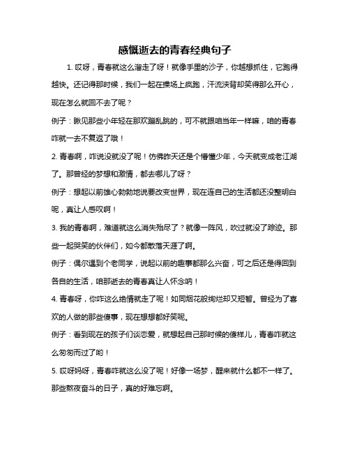 感慨逝去的青春经典句子