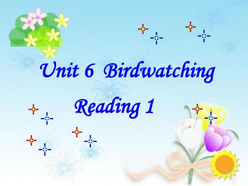 牛津译林版八年级英语上册 Unit 6 Bird watching Reading 1课件4