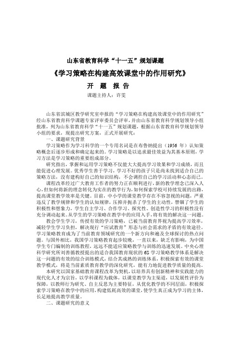 山东省教育科学规划课题开题报告