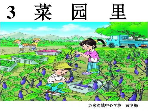 一年级语文上册识字(二)3《菜园里》