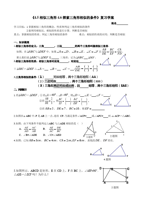 《4.5相似三角形4.6相似三角形的判定复习》