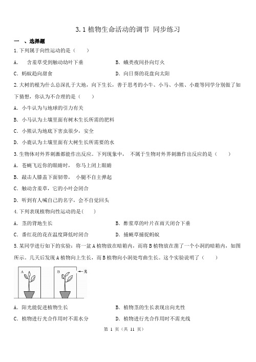 植物生命活动的调节+同步练习—2024学年浙教版科学八年级上册