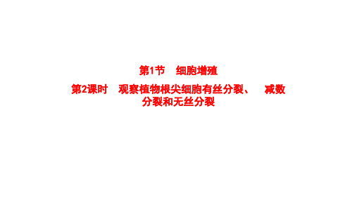 新教材苏教版生物必修1课件4-1-2观察植物根尖细胞有丝分裂减数分裂和无丝分裂