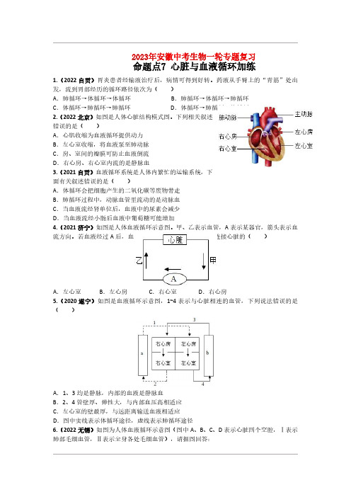 2023年安徽中考生物一轮专题复习：命题点7 心脏与血液循环加练