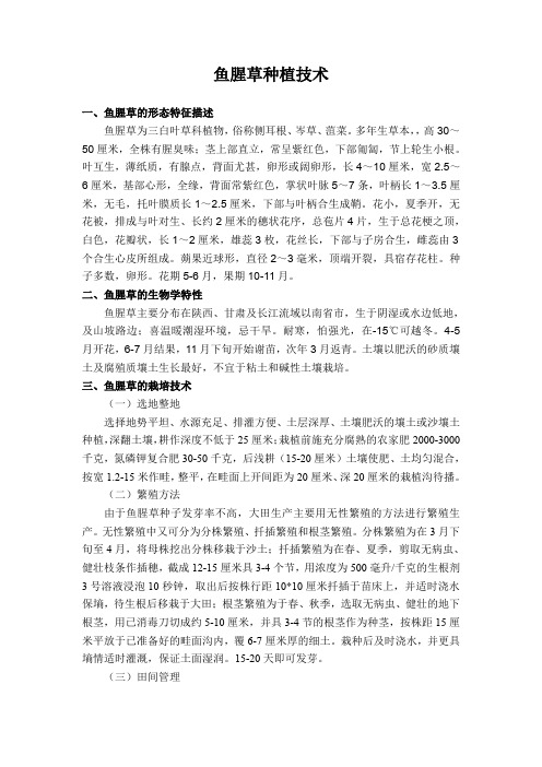 鱼腥草种植技术手册