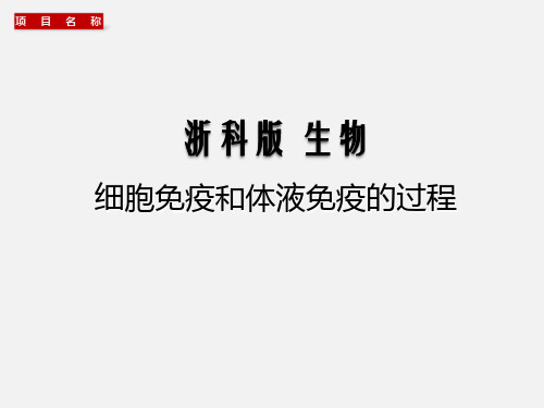 免疫调节 细胞免疫和体液免疫的过程 -2021届浙江高考生物一轮复习课件(浙科版)(共65张PPT)