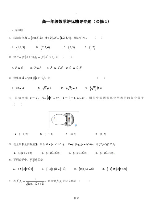 高一年级数学培优辅导专题(必修1)