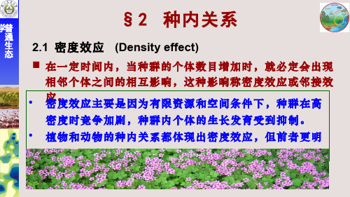 生态学(5.2.1)--密度效应、性别关系及他感作用