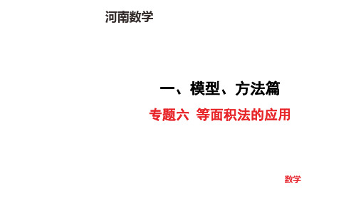 中考数学专项复习题型突破专题六 等面积法的应用