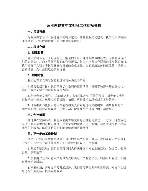 公司创建青年文明号工作汇报材料