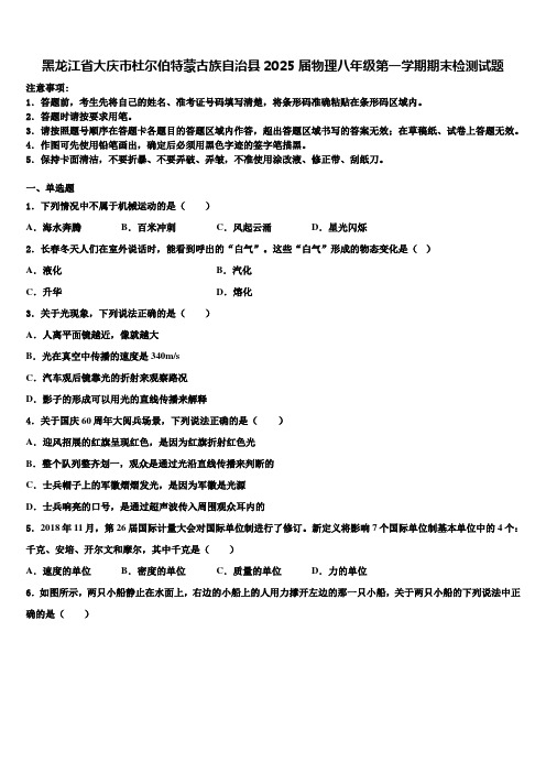 黑龙江省大庆市杜尔伯特蒙古族自治县2025届物理八年级第一学期期末检测试题含解析