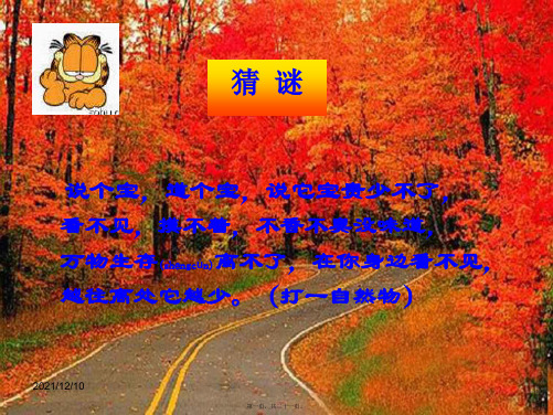 九年级化学上册 第2章 空气、物质的构成 2.1 空气的成分课件