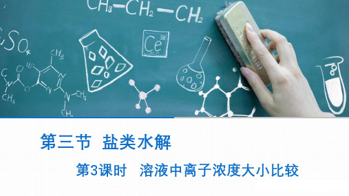 离子浓度大小比较+++课件+++2023-2024学年高二上学期化学人教版(2019)选择性必修1