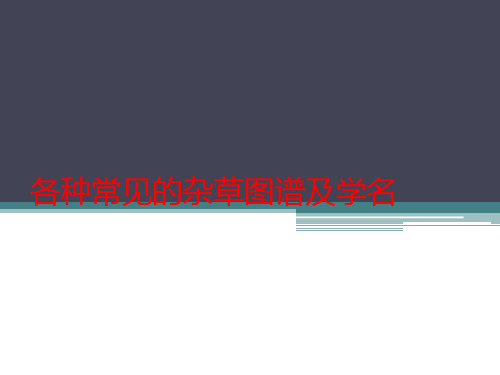 各种常见的杂草图谱及学名==