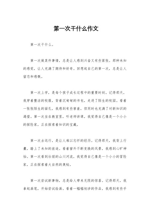 第一次干什么作文