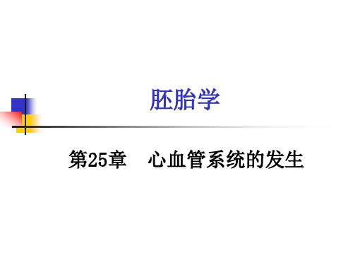  组织学与胚胎学第26章  心血管系统的发生