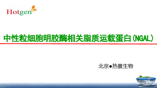 NGAL中性粒细胞明胶酶相关脂质运载蛋白的临床意义