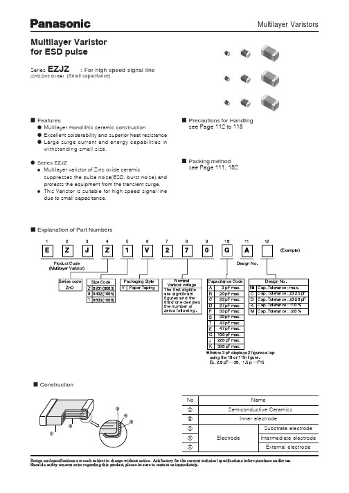 EZJZZV800AA中文资料