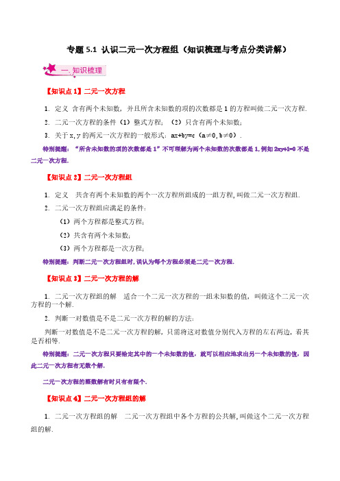 认识二元一次方程组(知识梳理与考点分类讲解)-八年级数学上册基础知识专项突破讲与练(北师大版)