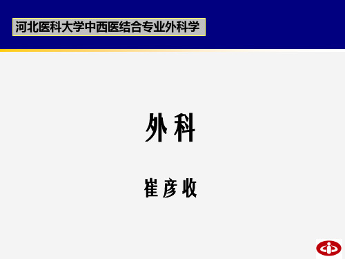 胸腹部损伤PPT课件