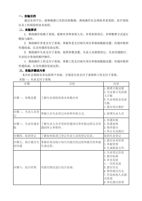 社会保险实验报告