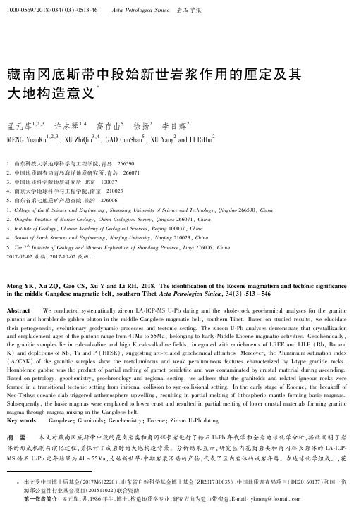 藏南冈底斯带中段始新世岩浆作用的厘定及其大地构造意义