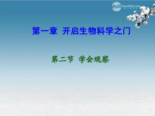 七年级生物上册_第二节_学会观察课件_冀教版