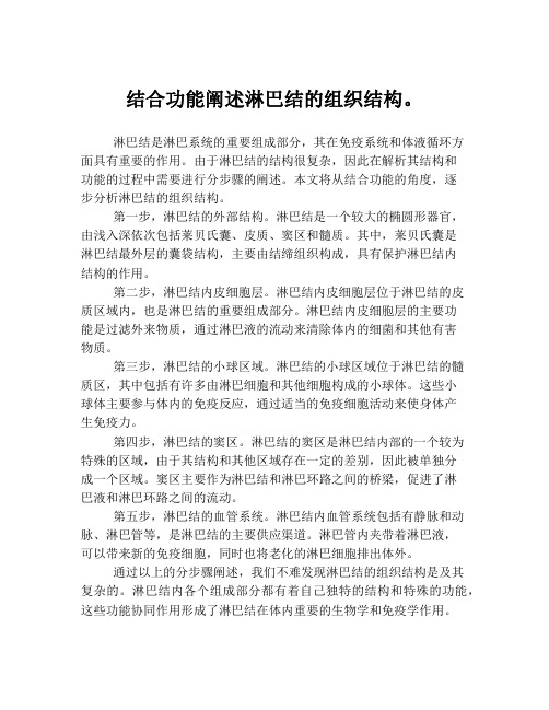 结合功能阐述淋巴结的组织结构。