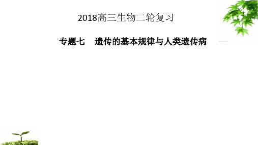 2018年高考生物二轮专题课件：遗传的基本规律与人类遗传病