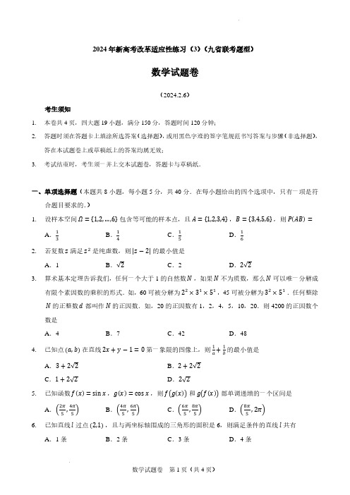 2024年新高考改革适应性练习九省联考数学试题及答案