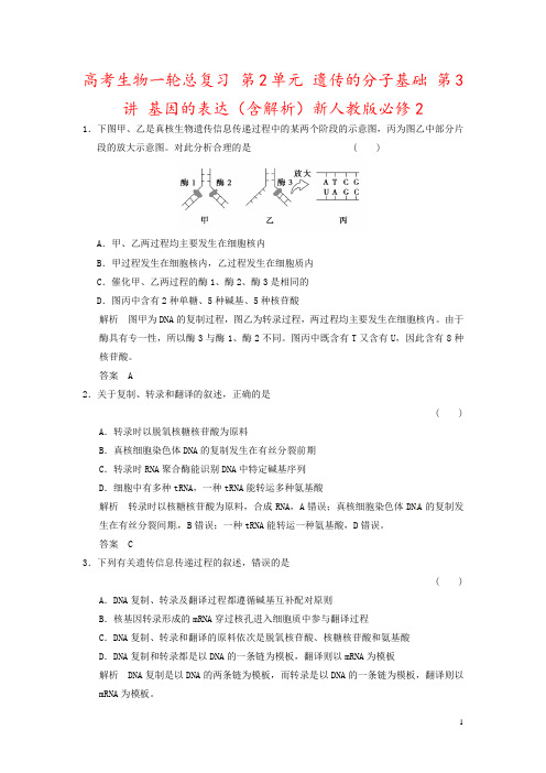 高考生物一轮总复习 第2单元 遗传的分子基础 第3讲 基因的表达(含解析)新人教版必修2