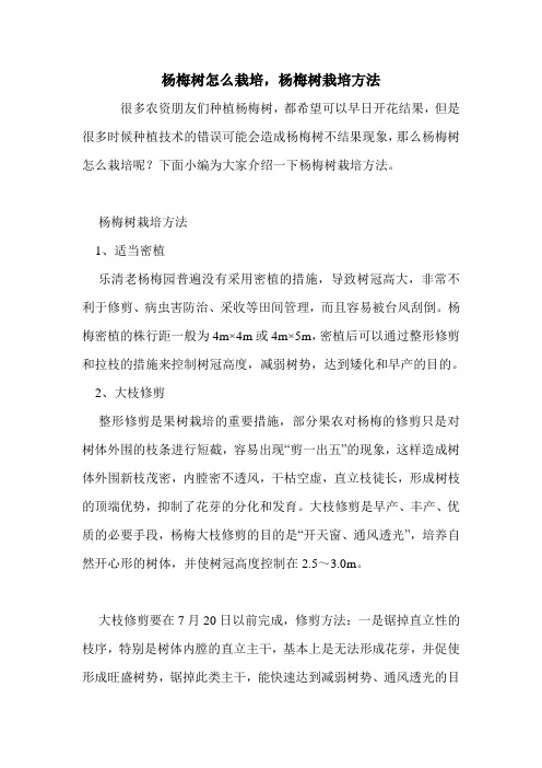 杨梅树怎么栽培,杨梅树栽培方法.doc