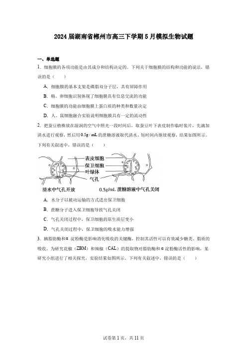 2024届湖南省郴州市高三下学期5月模拟生物试题