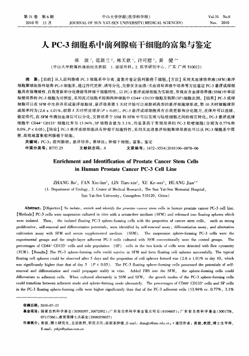 人PC-3细胞系中前列腺癌干细胞的富集与鉴定