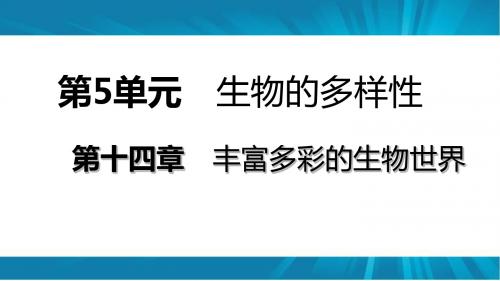 苏教版八年级生物上册第十四章第四节 生物的分类导学课件(共17张PPT)