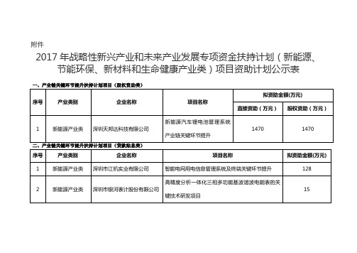 2017年战略性新兴产业和未来产业发展专项资金扶持计划