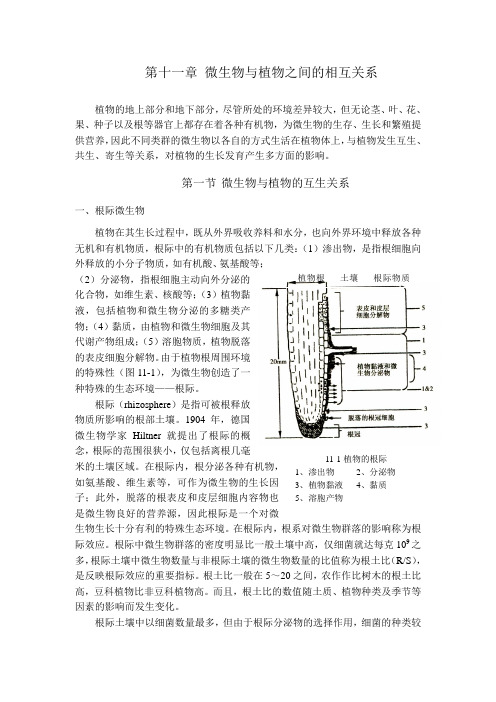 第十一章_微生物与植物之间的相互关系