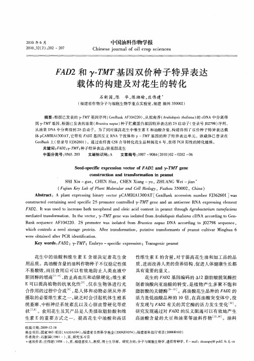 FAD2和γ-TMT基因双价种子特异表达载体的构建及对花生的转化