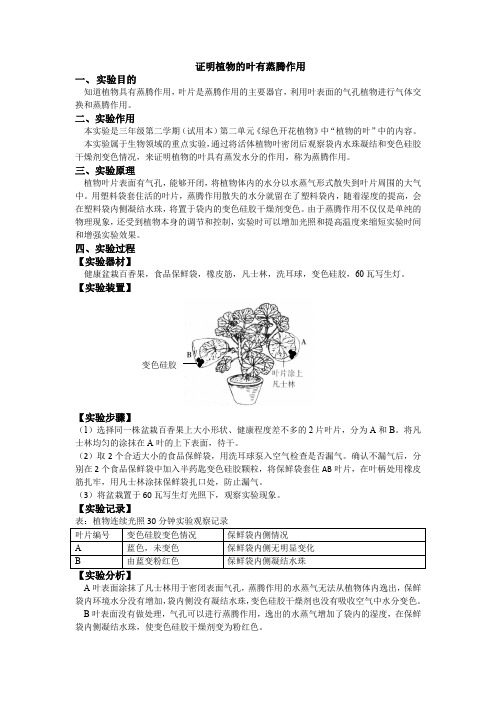 小学实验手册614-1证明植物的蒸腾作用