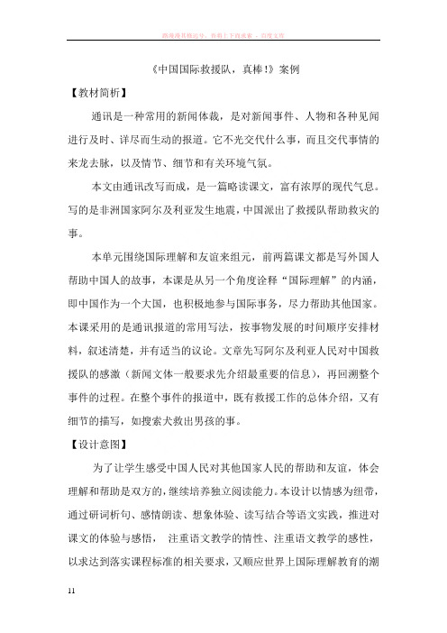 中国国际救援队案例