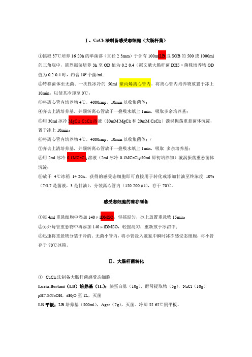 感受态细胞制备与转化