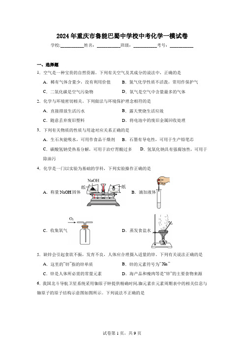 2024年重庆市鲁能巴蜀中学校中考化学一模试卷