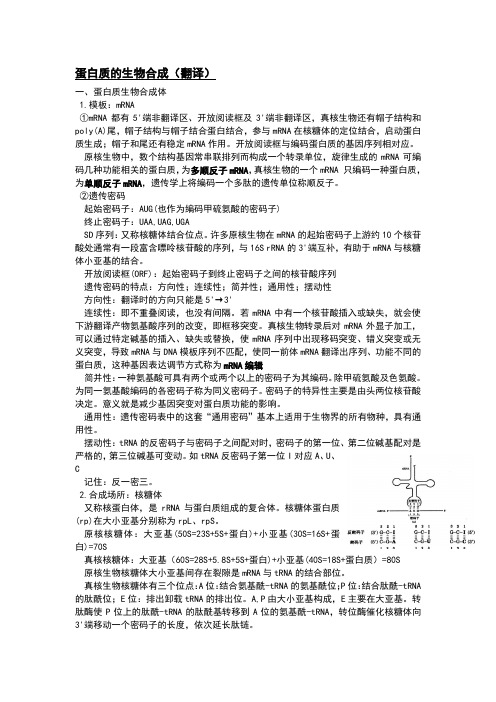 查锡良生化考研知识点笔记12翻译