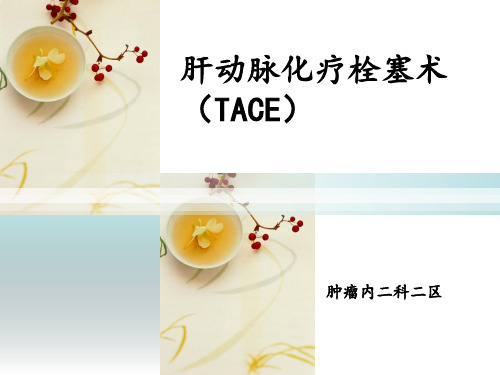 TACE(肝动脉化疗栓塞术)PPT课件