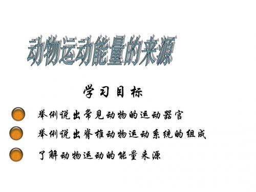 七年级生物下册 4.10.5 人体能量的供给——动物运动能量的来源课件三 (新版)苏