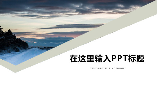 原创华丽抽象多线条动态商务宣传ppt模板